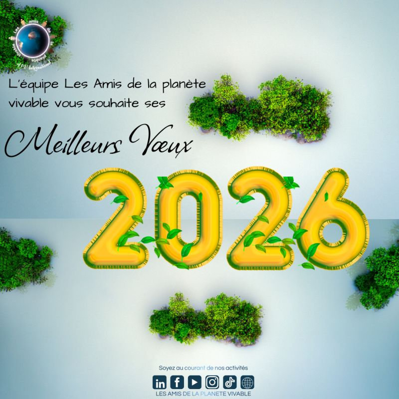 Bonne et heureuse année 2026!
